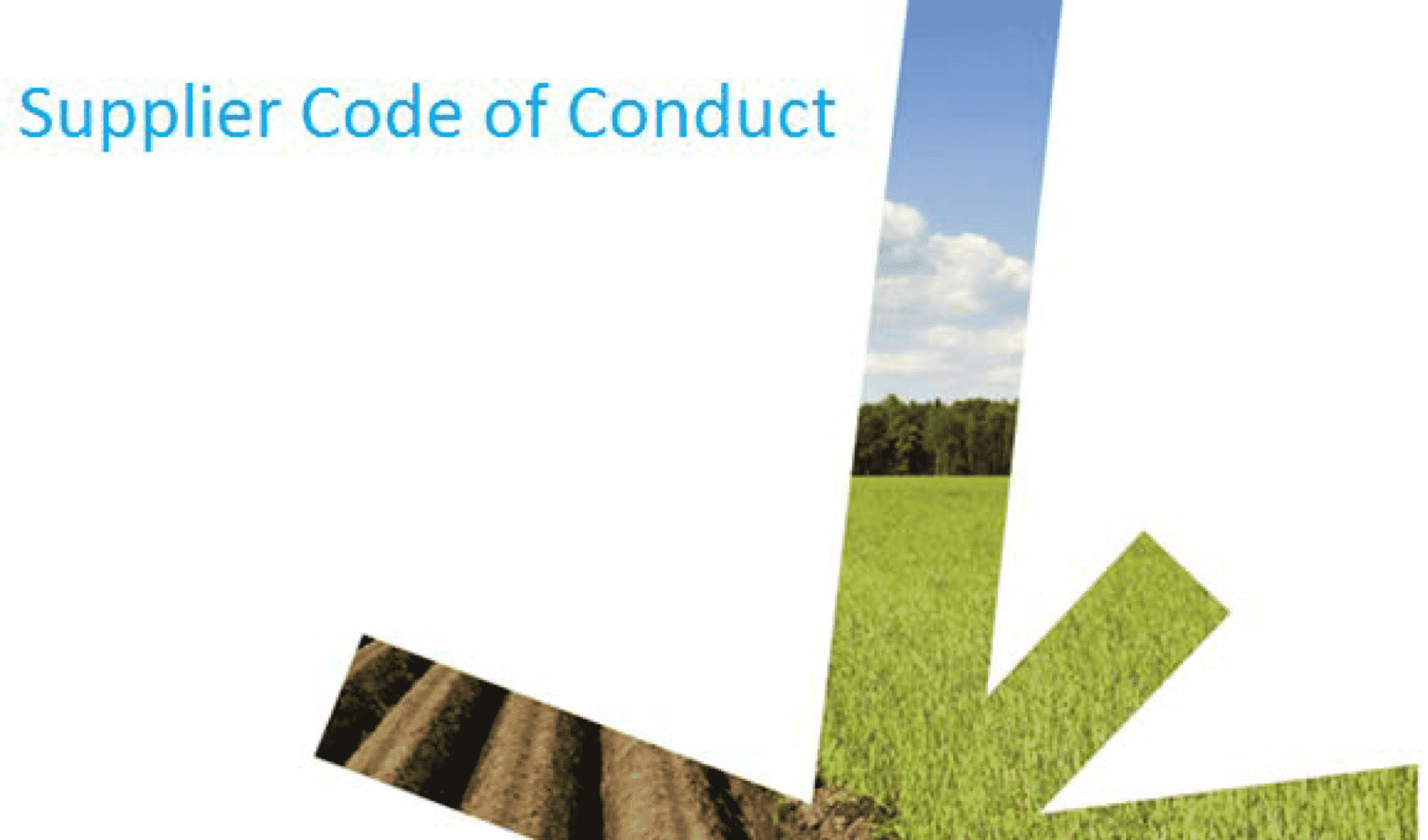 Mccain supplier code of conduct french 1 1 - Téléchargements