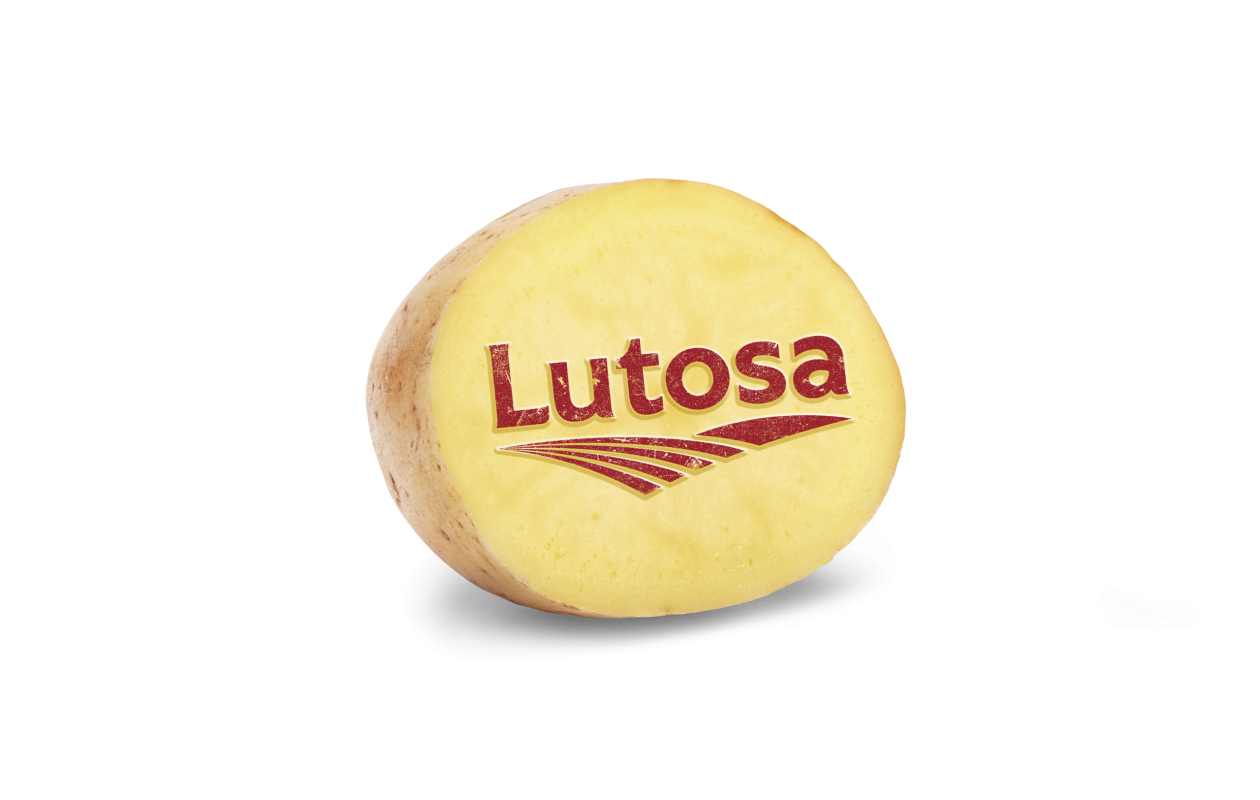 Potato stamp lutosa v02 e1624456706194 - Наши обязательства в области корпоративной социальной ответственности